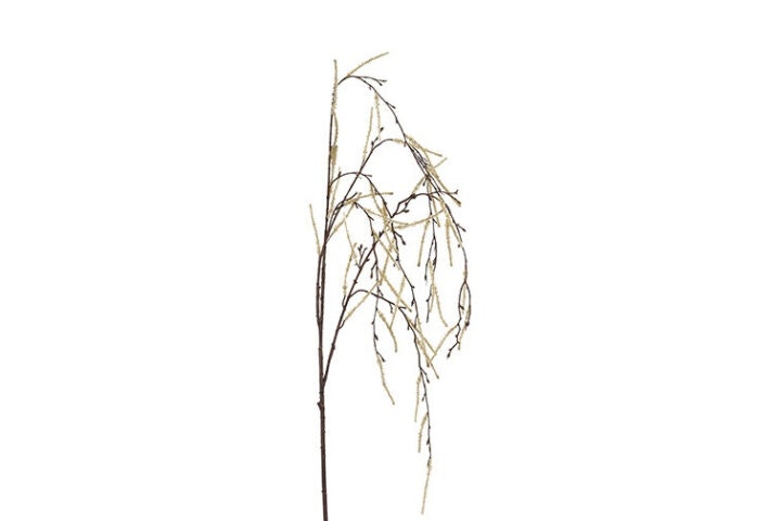 Hænge salix creme