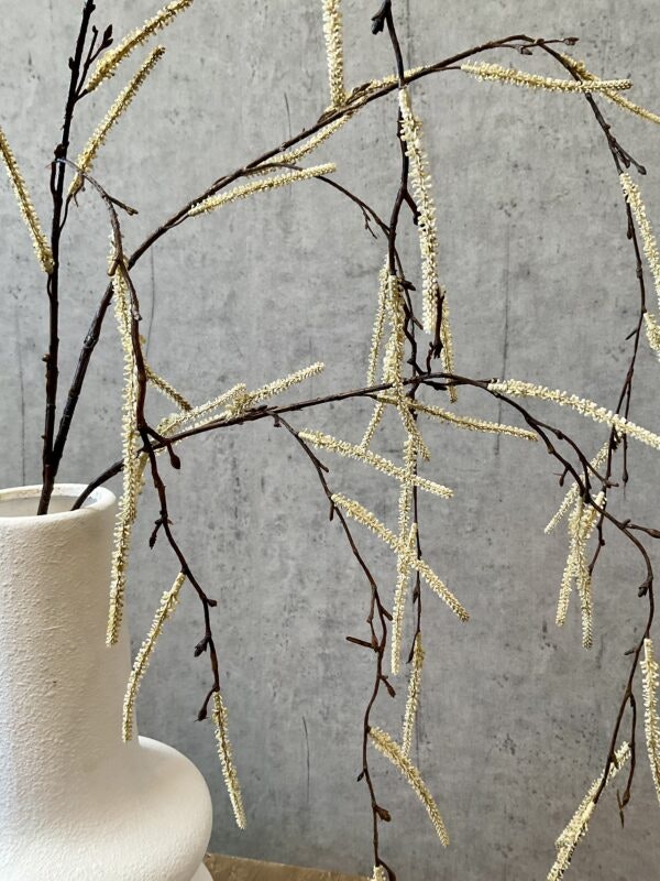 Hænge salix creme