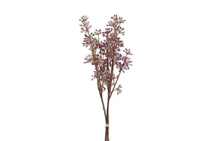 Bær gren purple