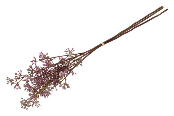 Bær gren purple