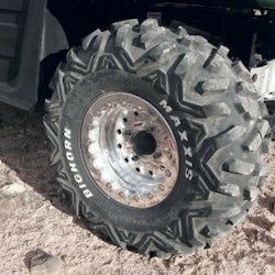 Maxxis Bighorn