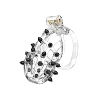 Rimba P-Cage PC09 Medium Transparent