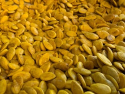 Saltet Egyptisk frø 1000g بزر مصري