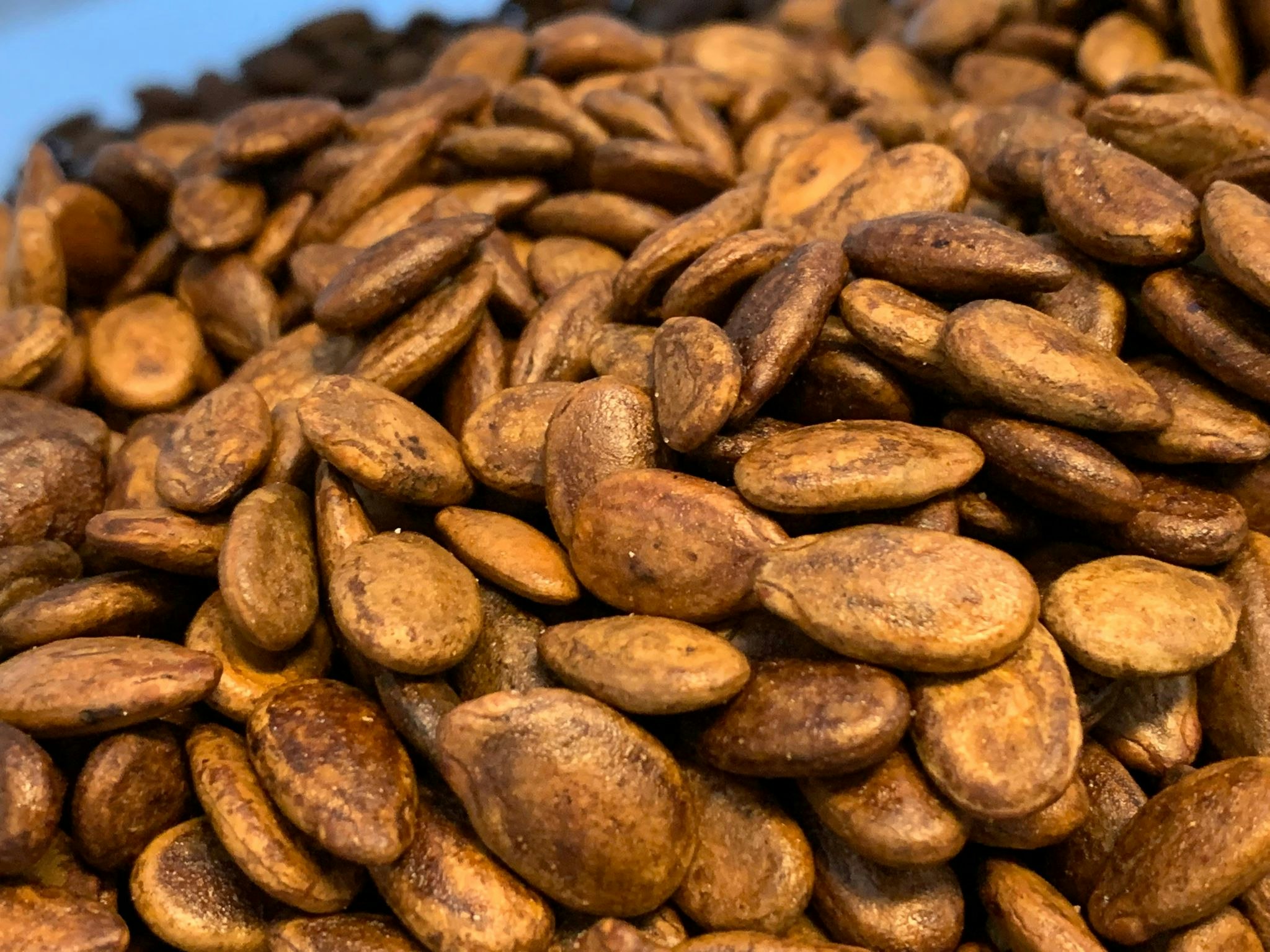Saltet Vannmelon frø - Brouwn 1000g