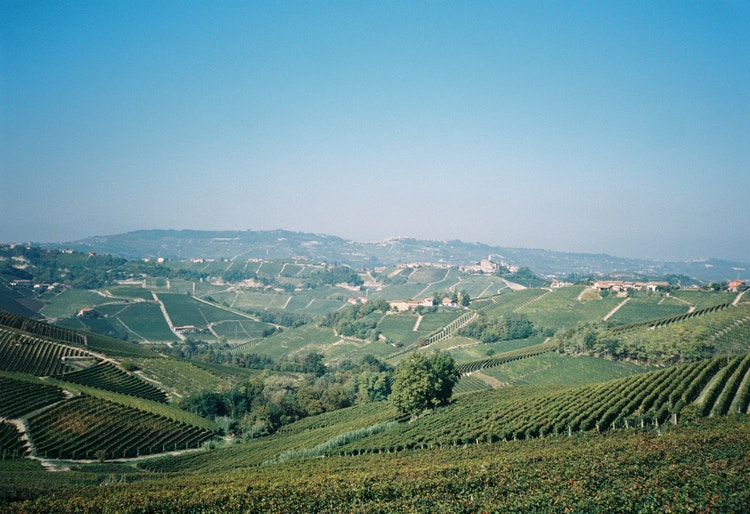 Bli fatägare 2021 - Chenin Blanc från Loire