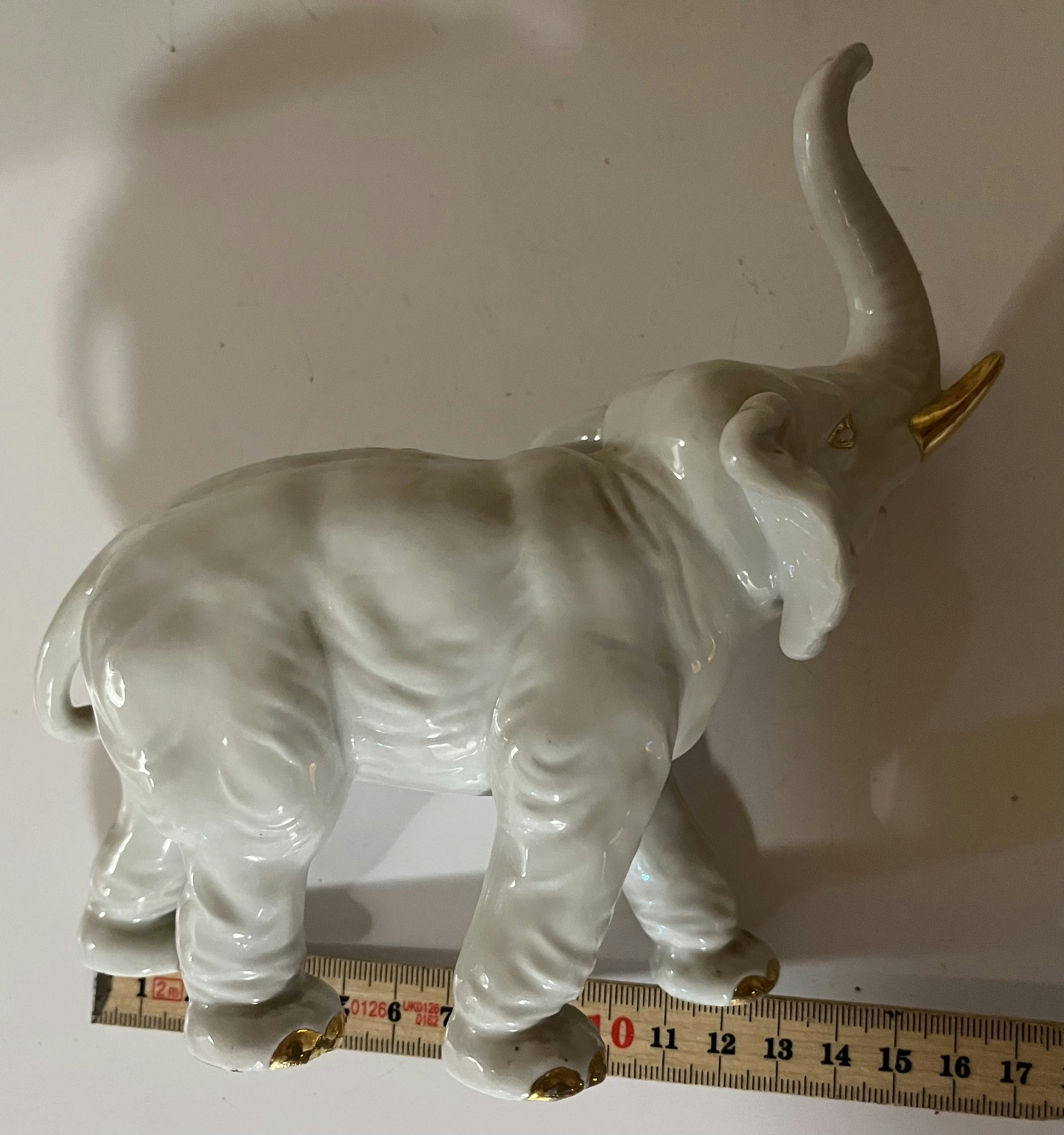 Elefant