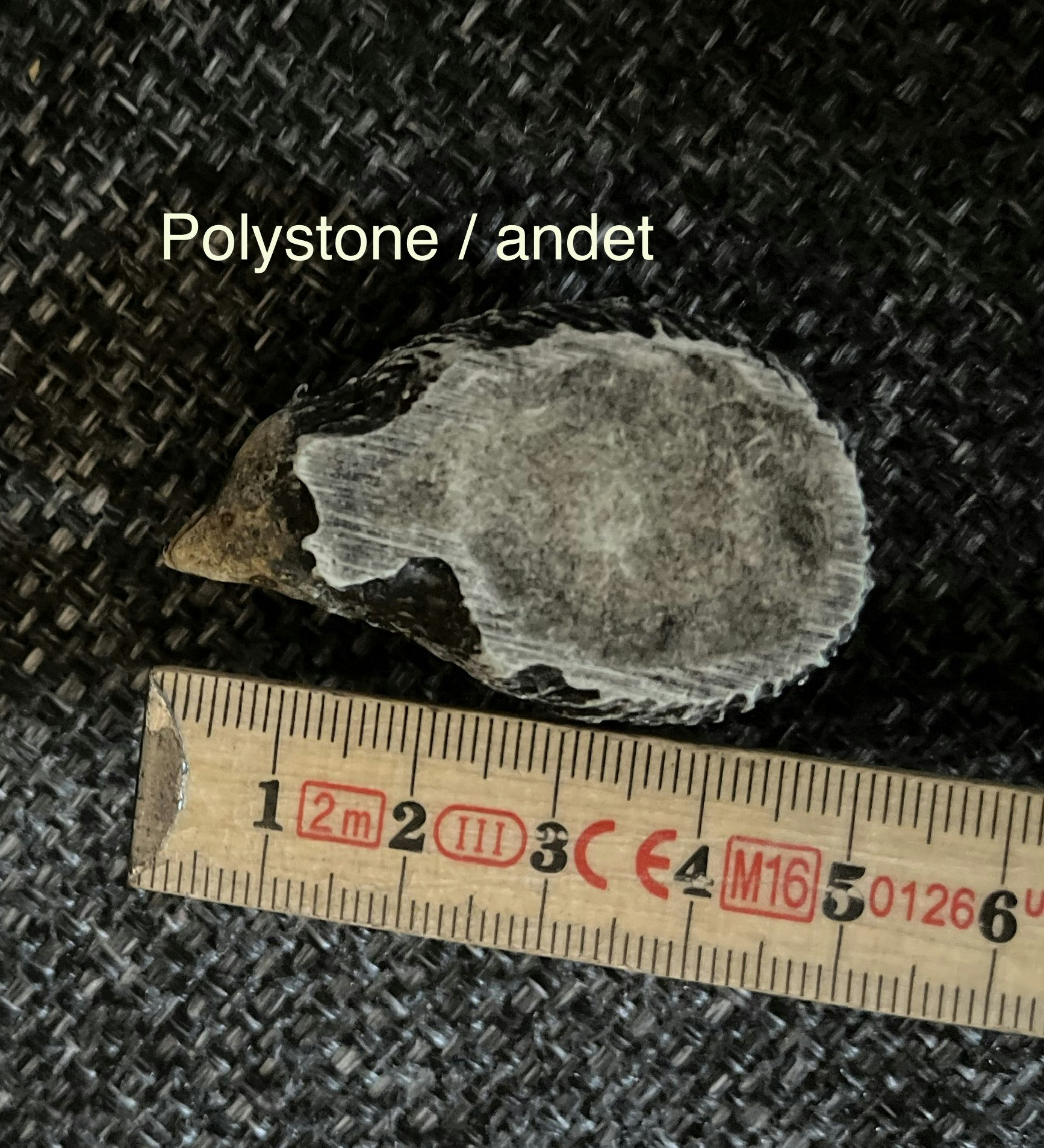 Pindsvin - 5 cm