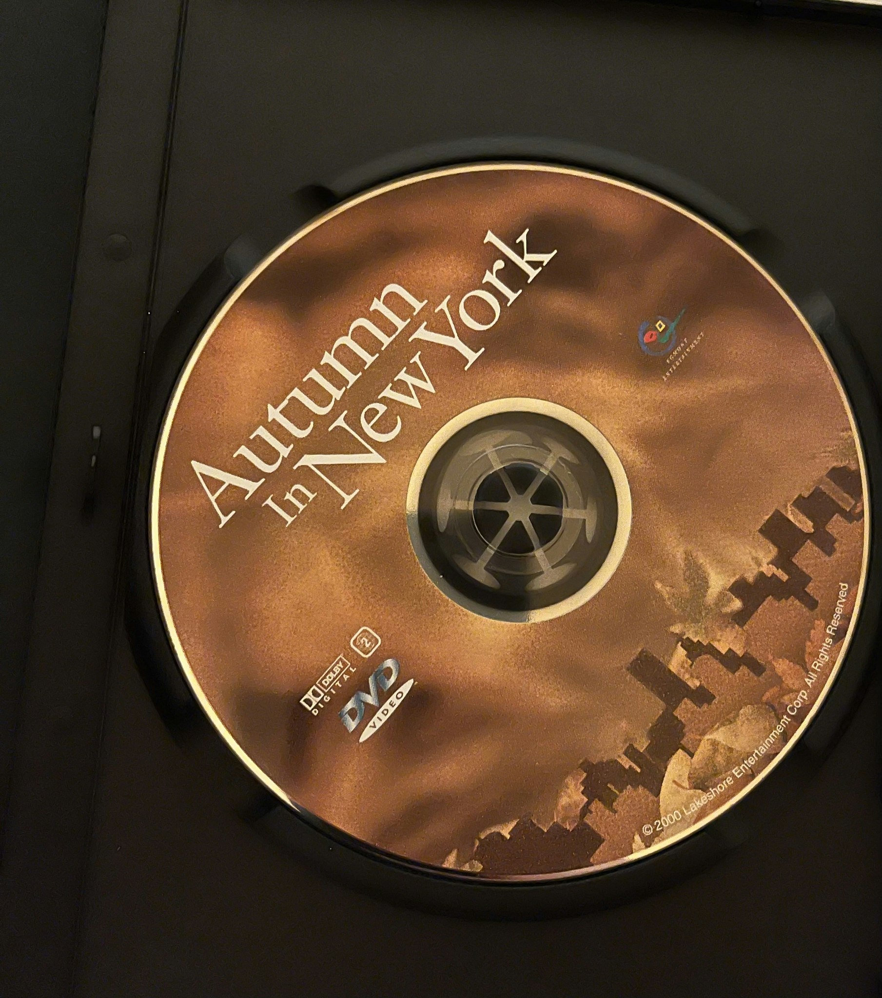DVD - Autumn in New York