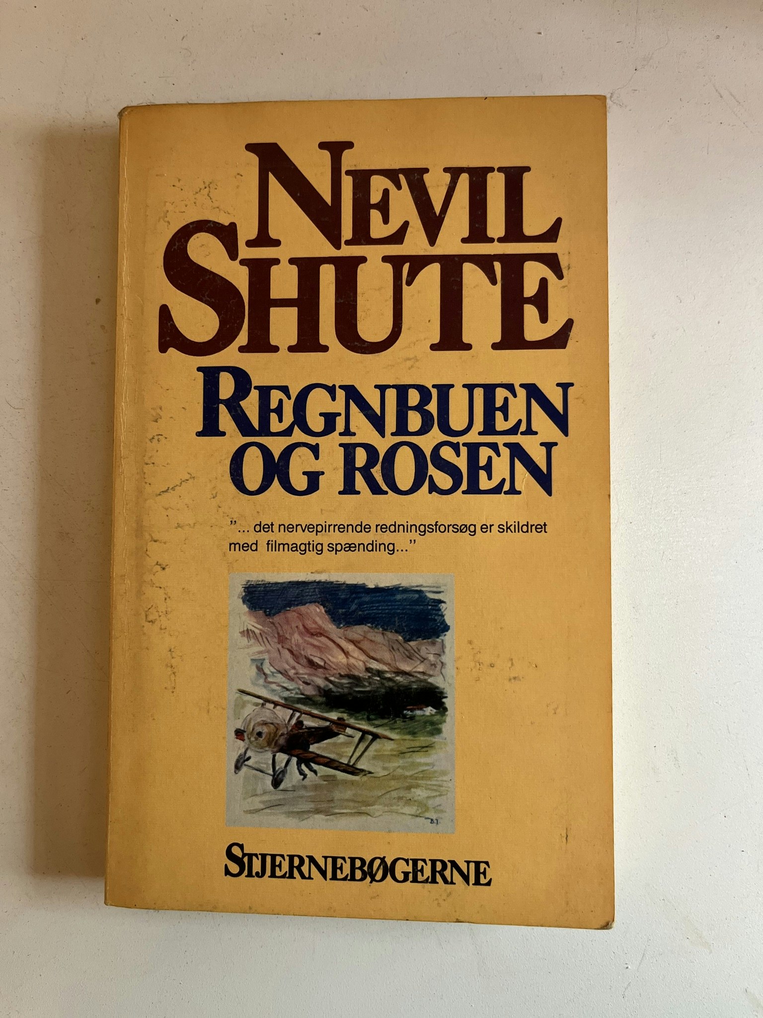 Regnbuen og rosen