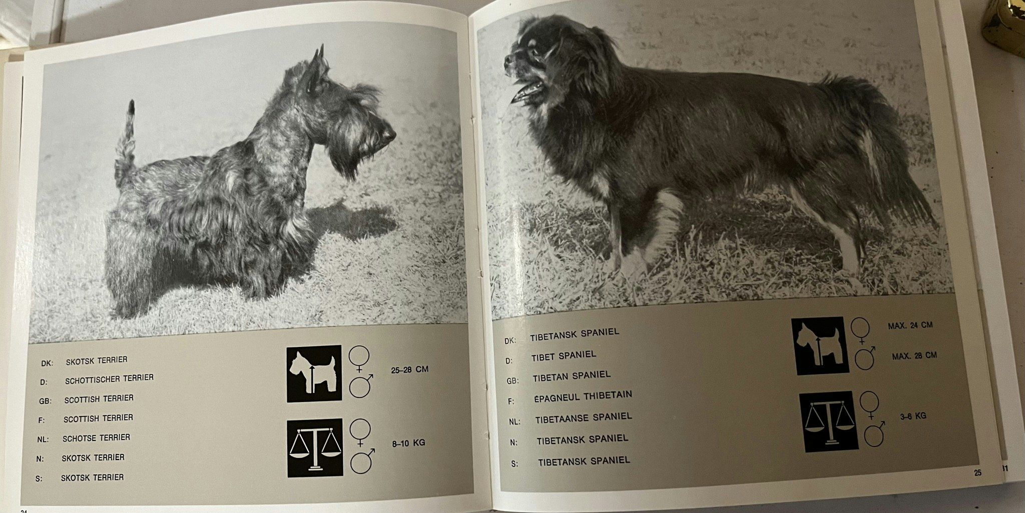 Bog - Liber Canis