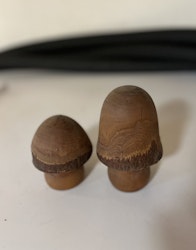 2 Svampe i træ