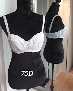 BH - str. 75D
