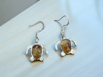TurtleAmber