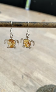 TurtleAmber