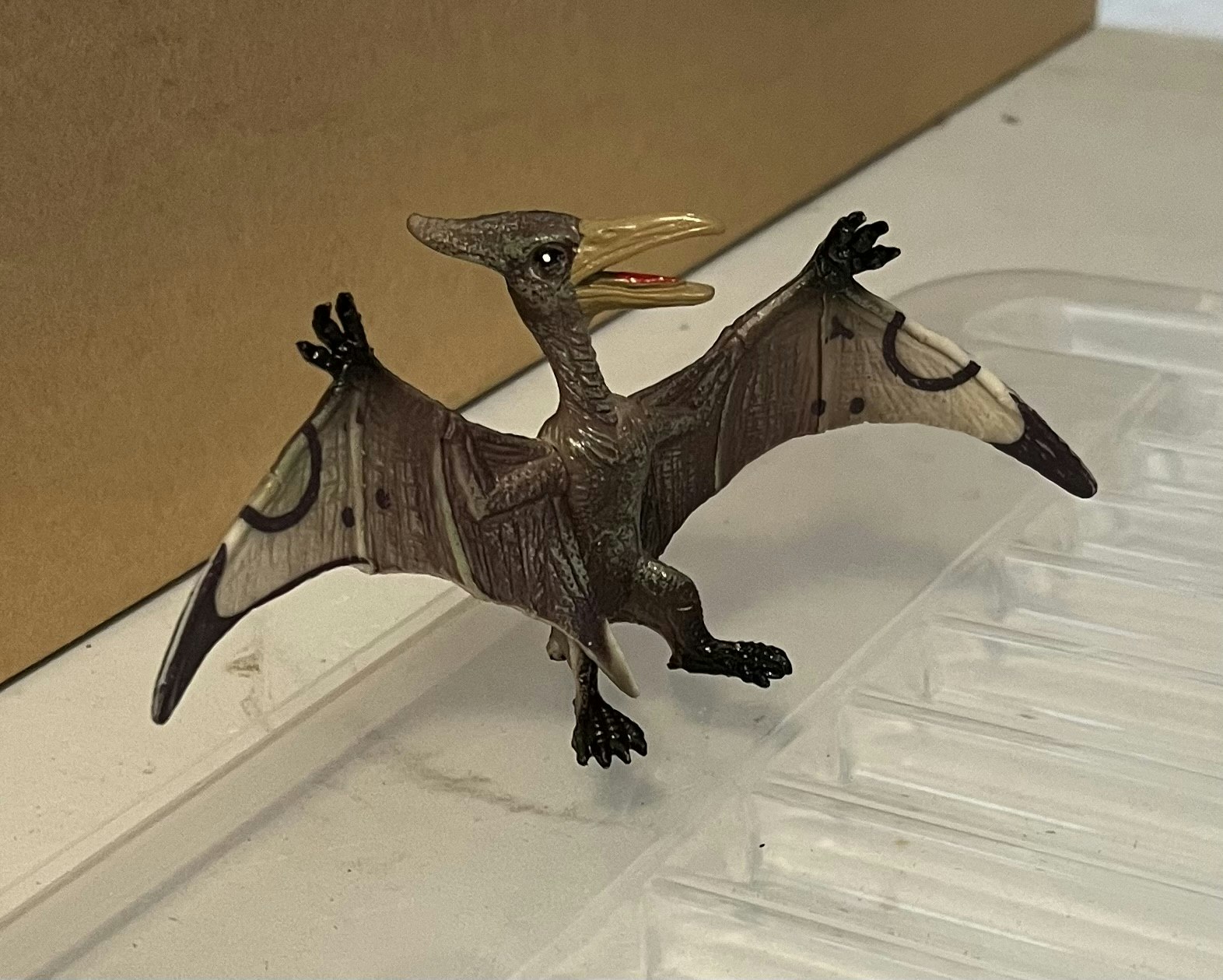10 dinosaurer