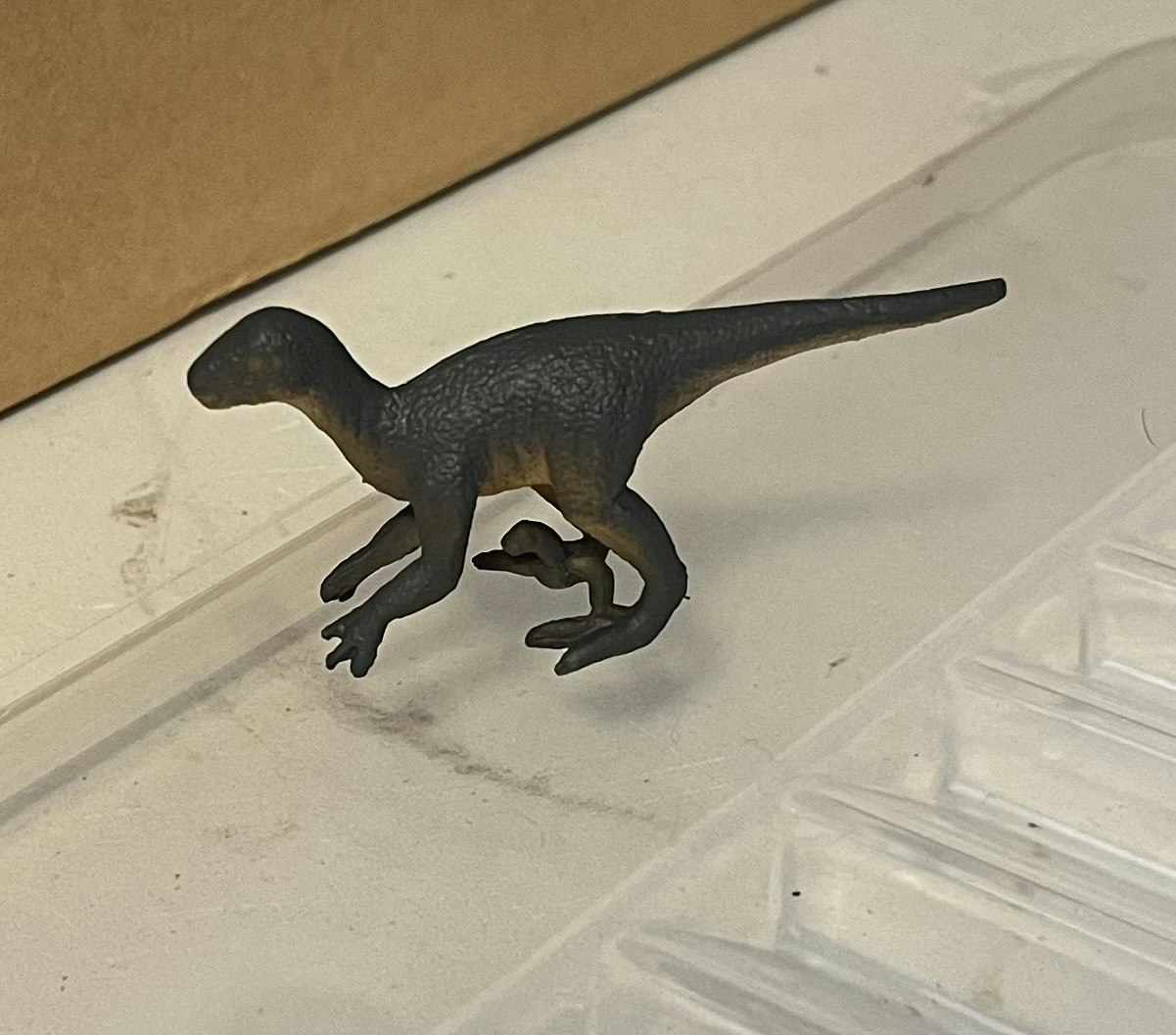 10 dinosaurer