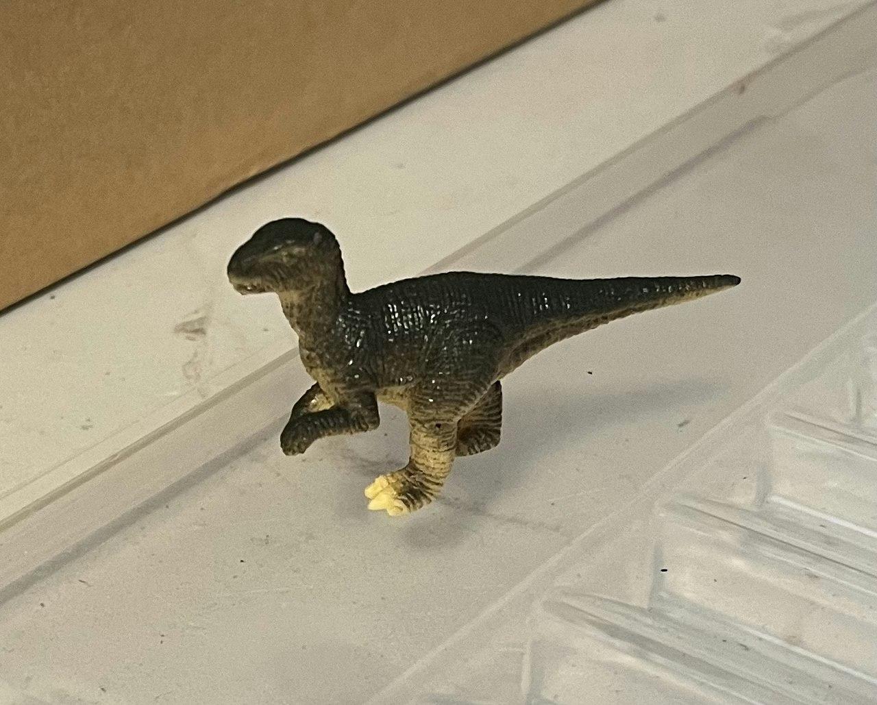 10 dinosaurer