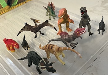 10 dinosaurer