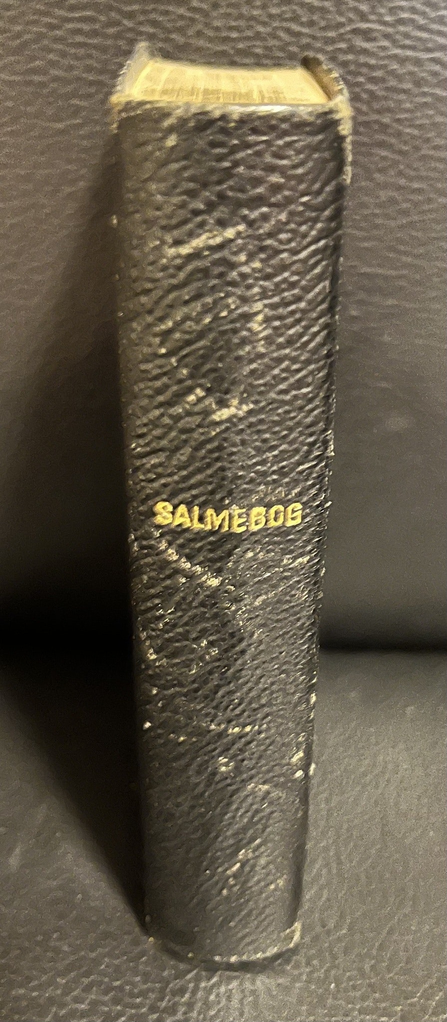 Salmebog