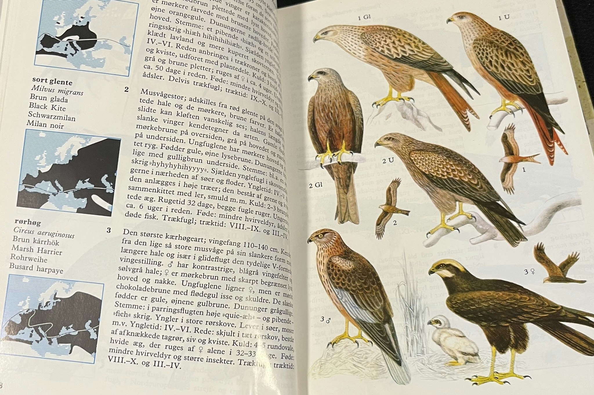 Fugleatlas