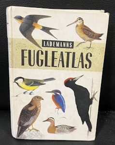 Fugleatlas
