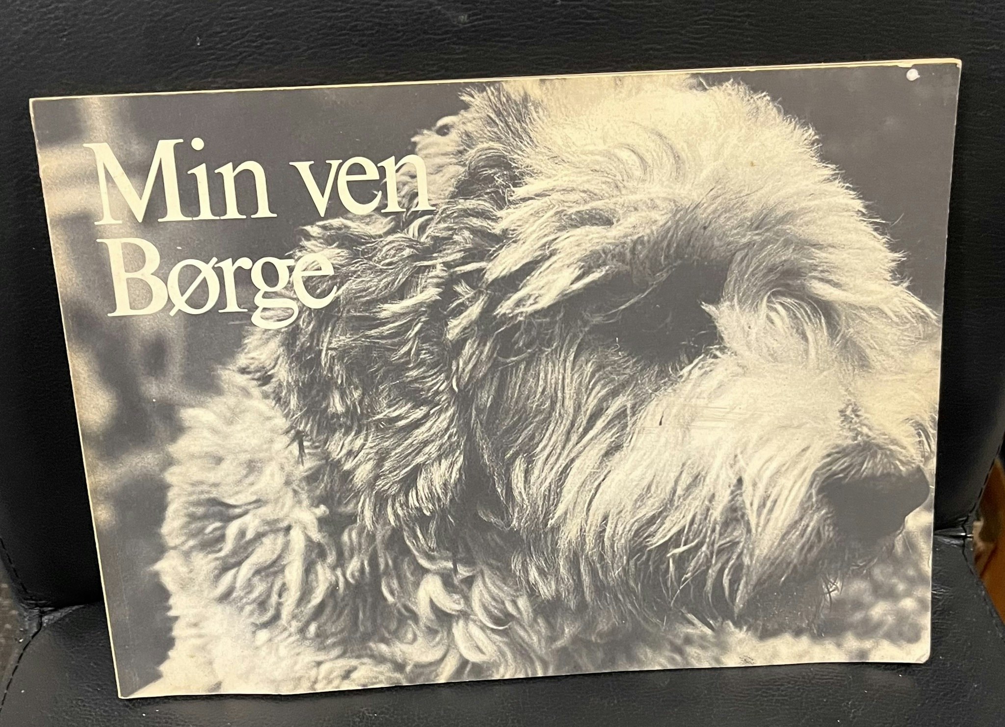 Min ven Børge