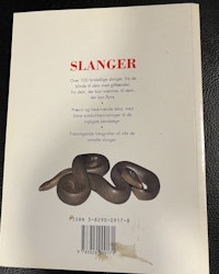 Slanger