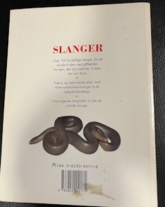 Slanger