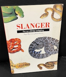 Slanger