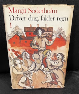 Driver dug, falder regn 1