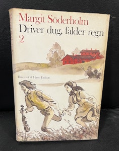 Driver dug, falder regn 2