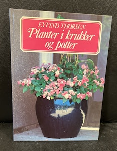 Planter i krukker og potter