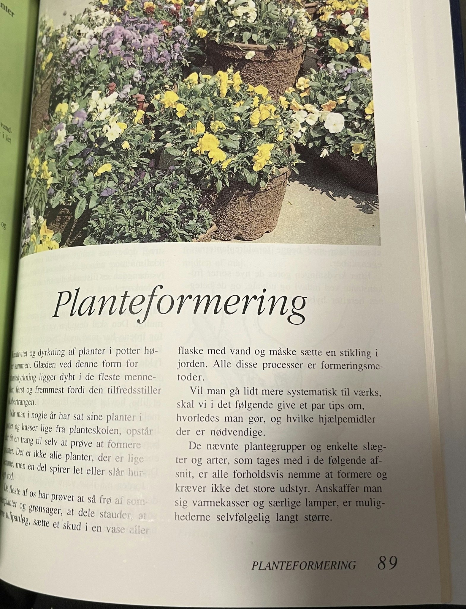Planter i krukker og potter