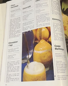 MENU - Frugt