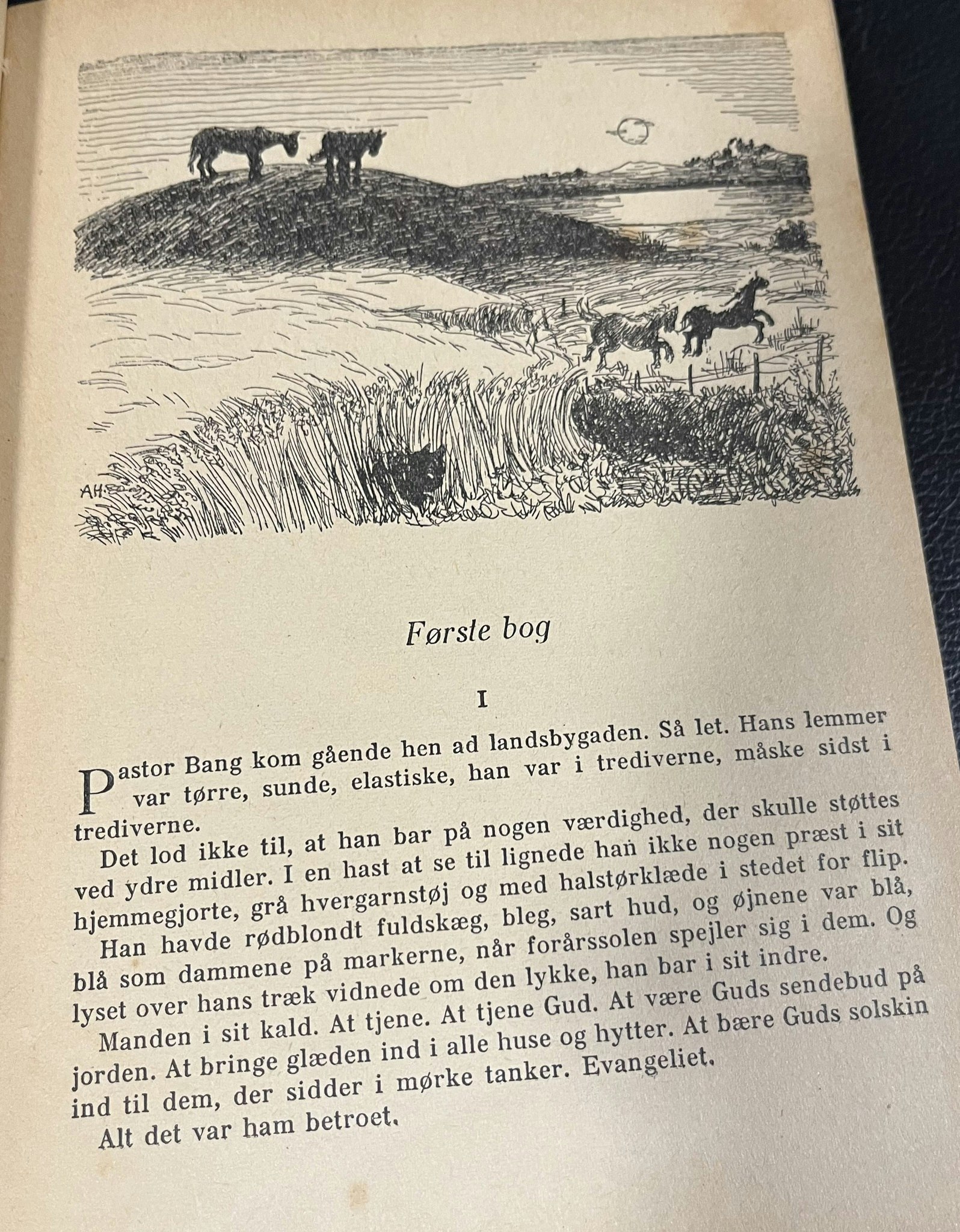 Præsten i Løgum
