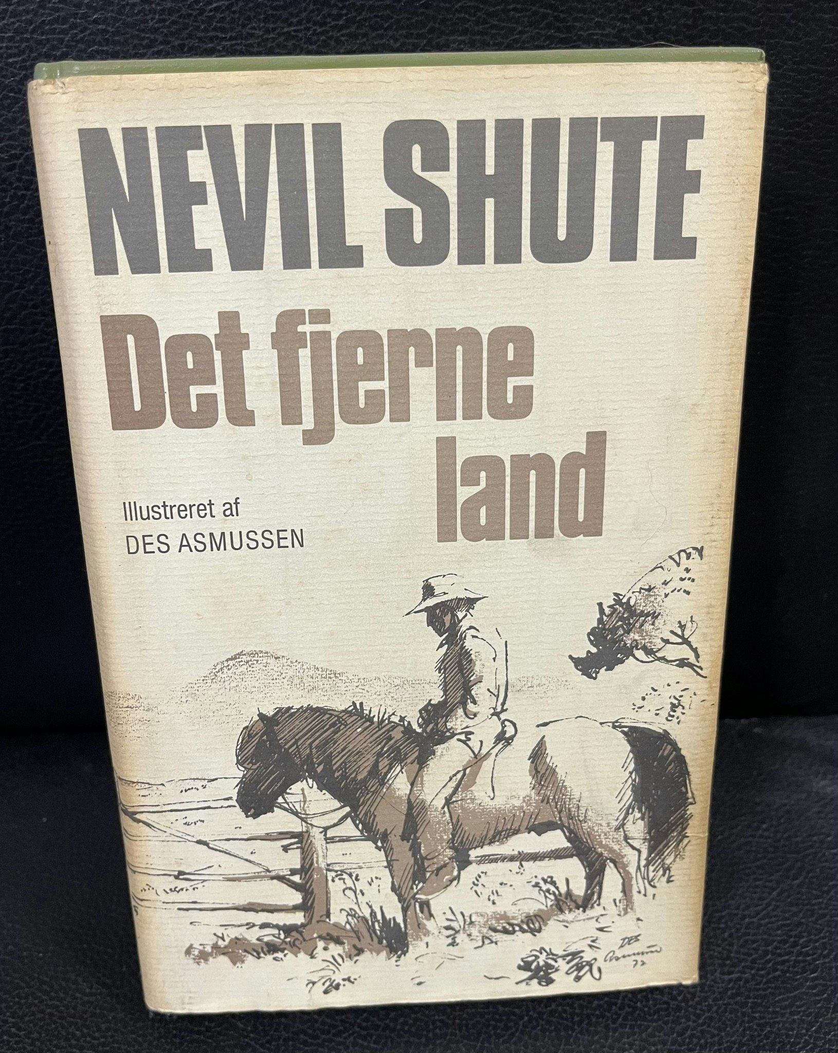 Det fjerne land