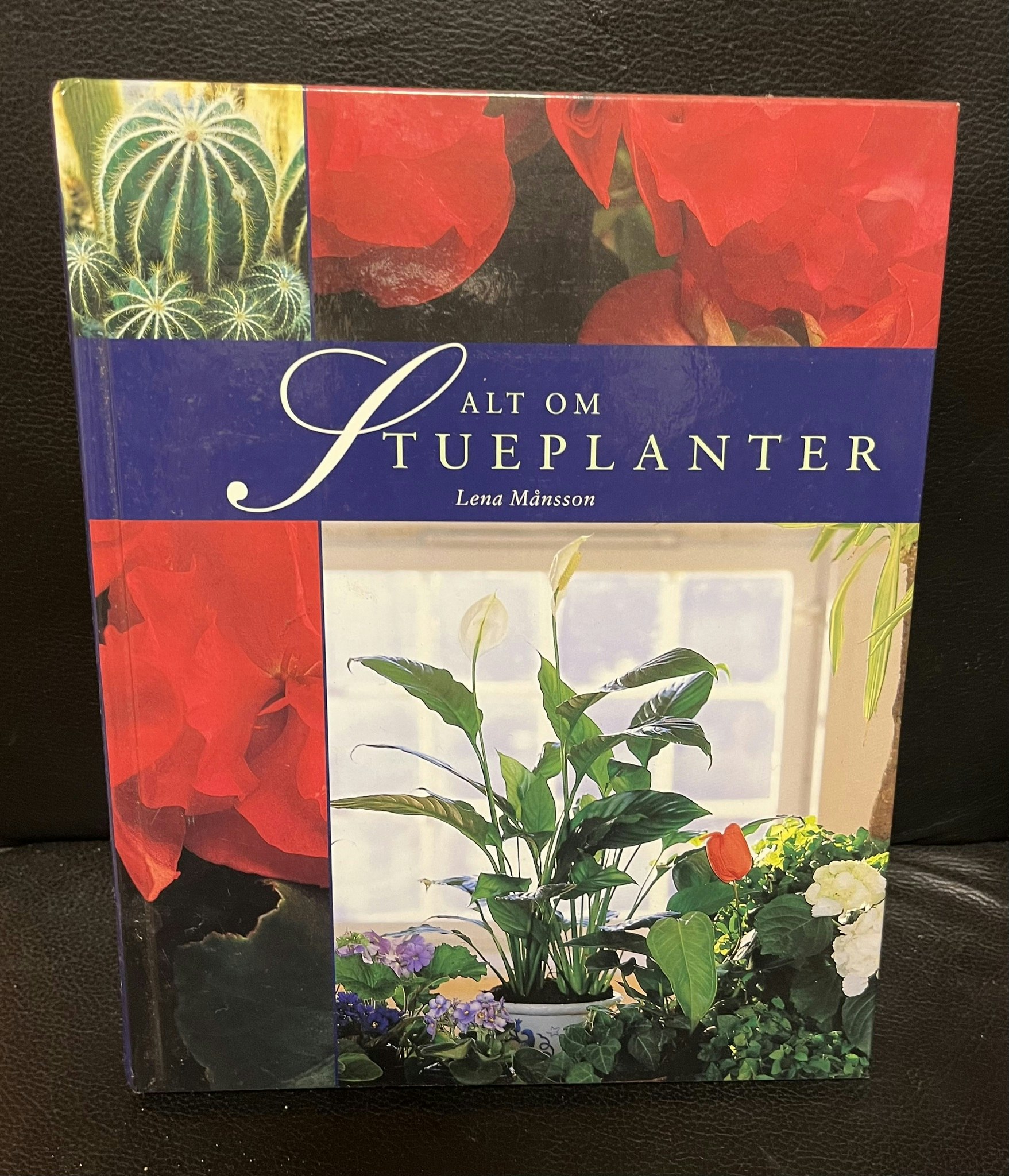 Alt om stueplanter
