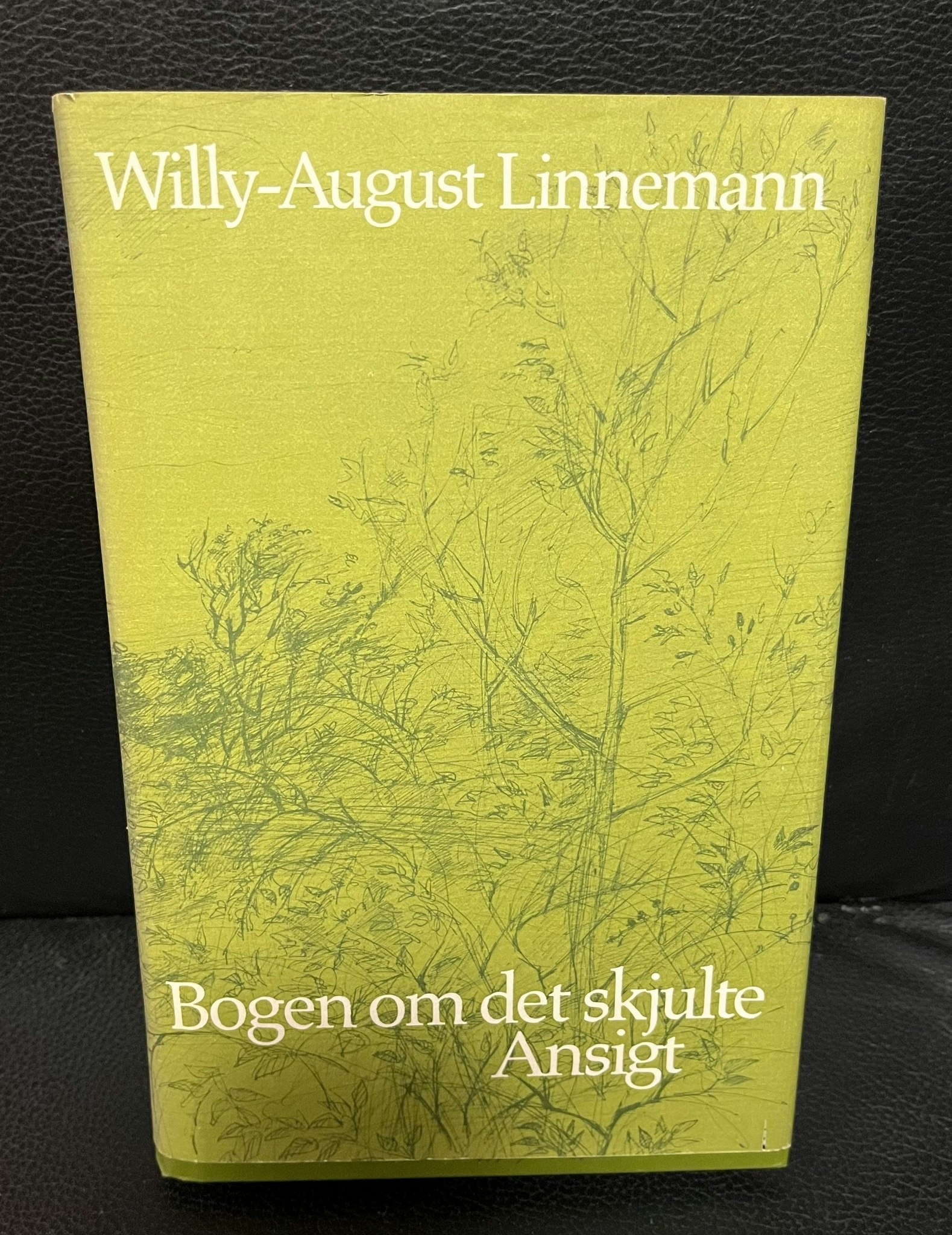 Bogen om det skjule ansigt