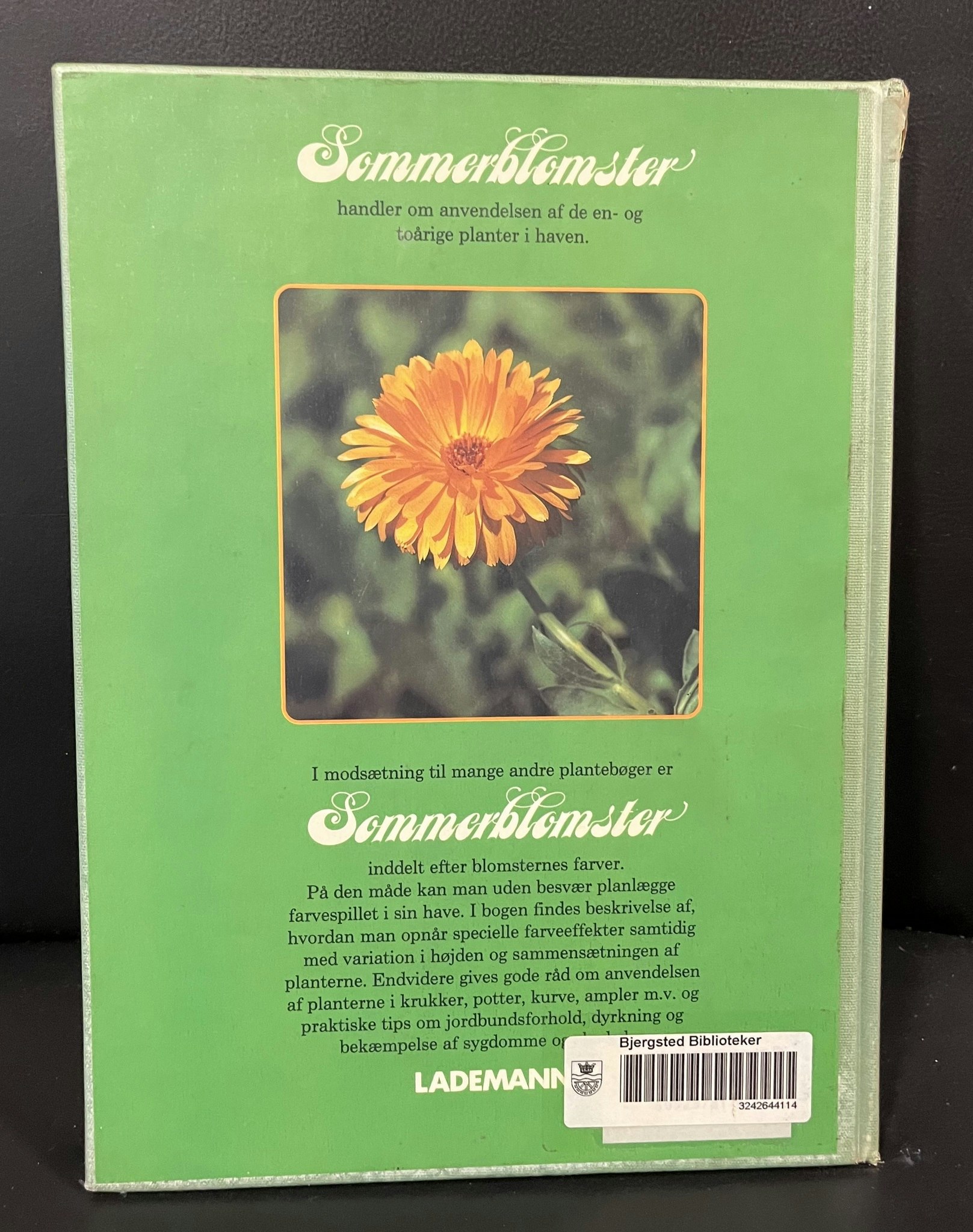 Sommerblomster