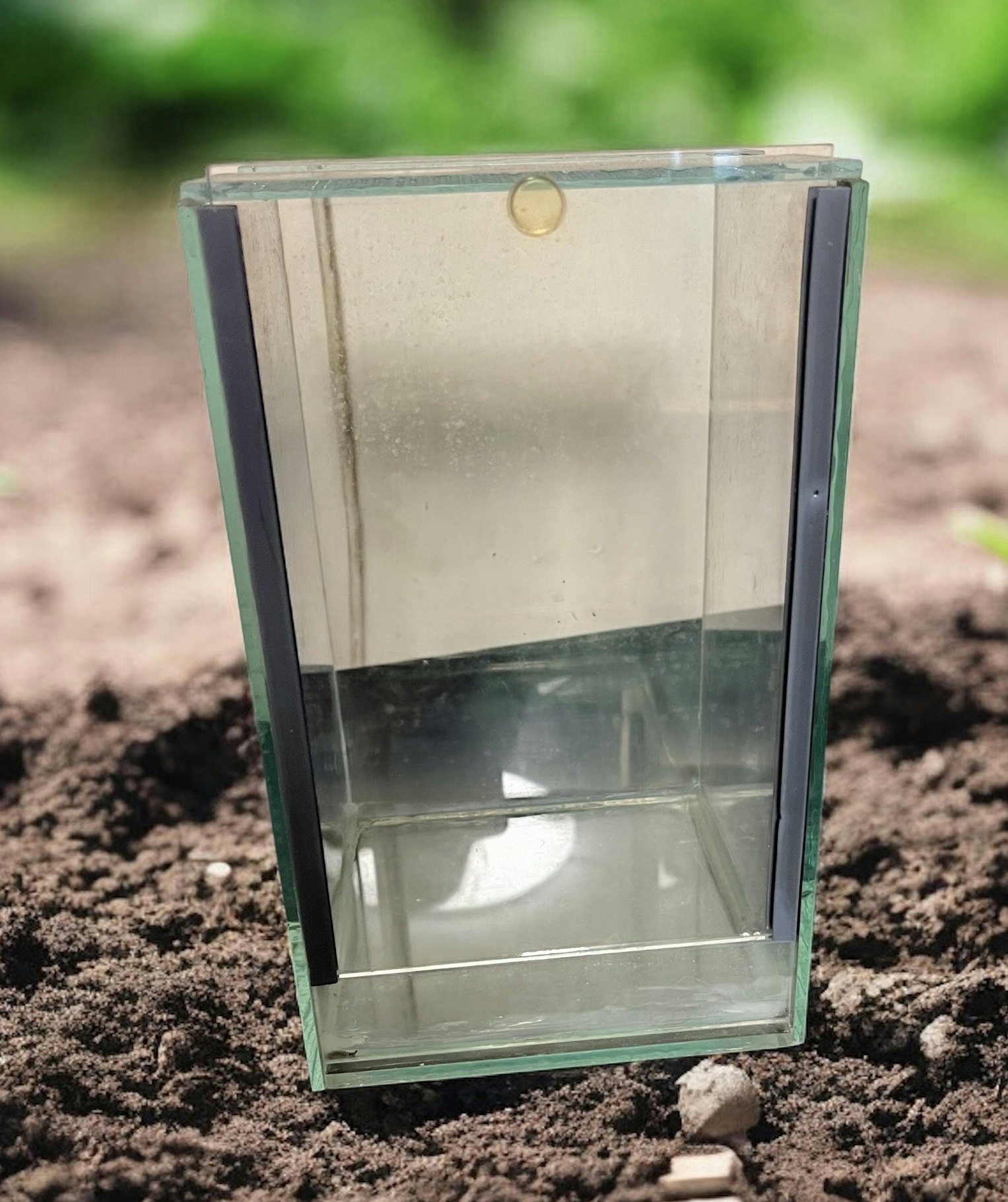 Terrarium