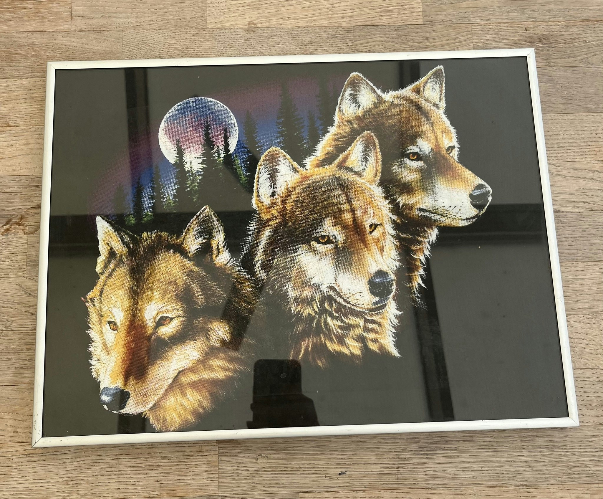 UlveBillede 40x30