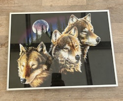 UlveBillede 40x30