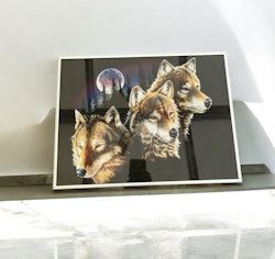 UlveBillede 40x30