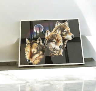 UlveBillede 40x30