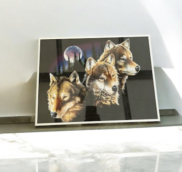 UlveBillede 40x30