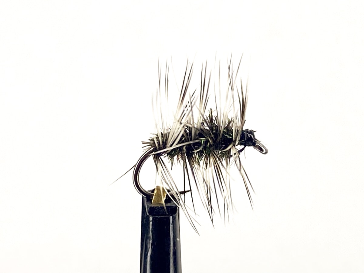 Griffith’s Gnat