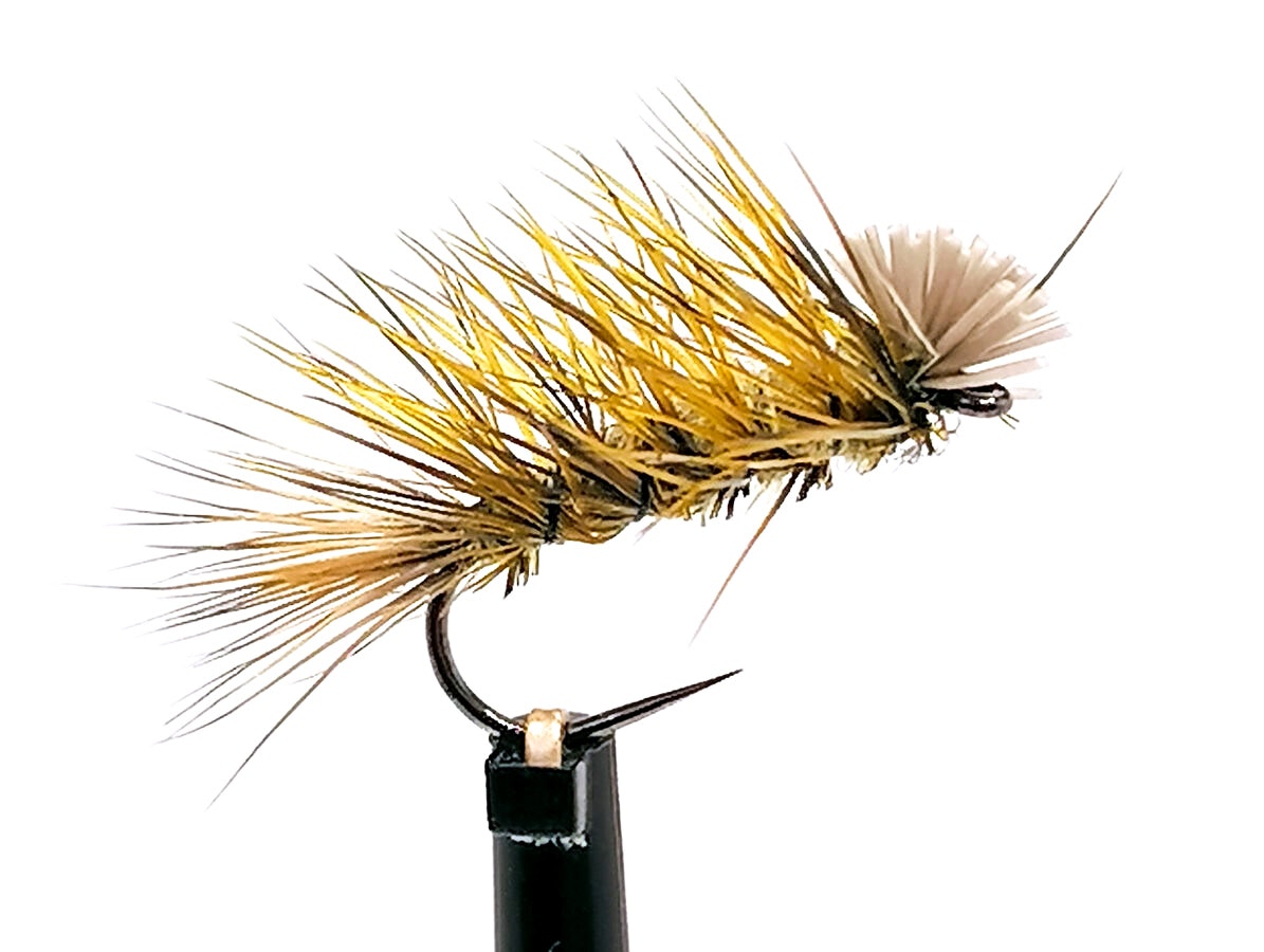 Dyret Olive
