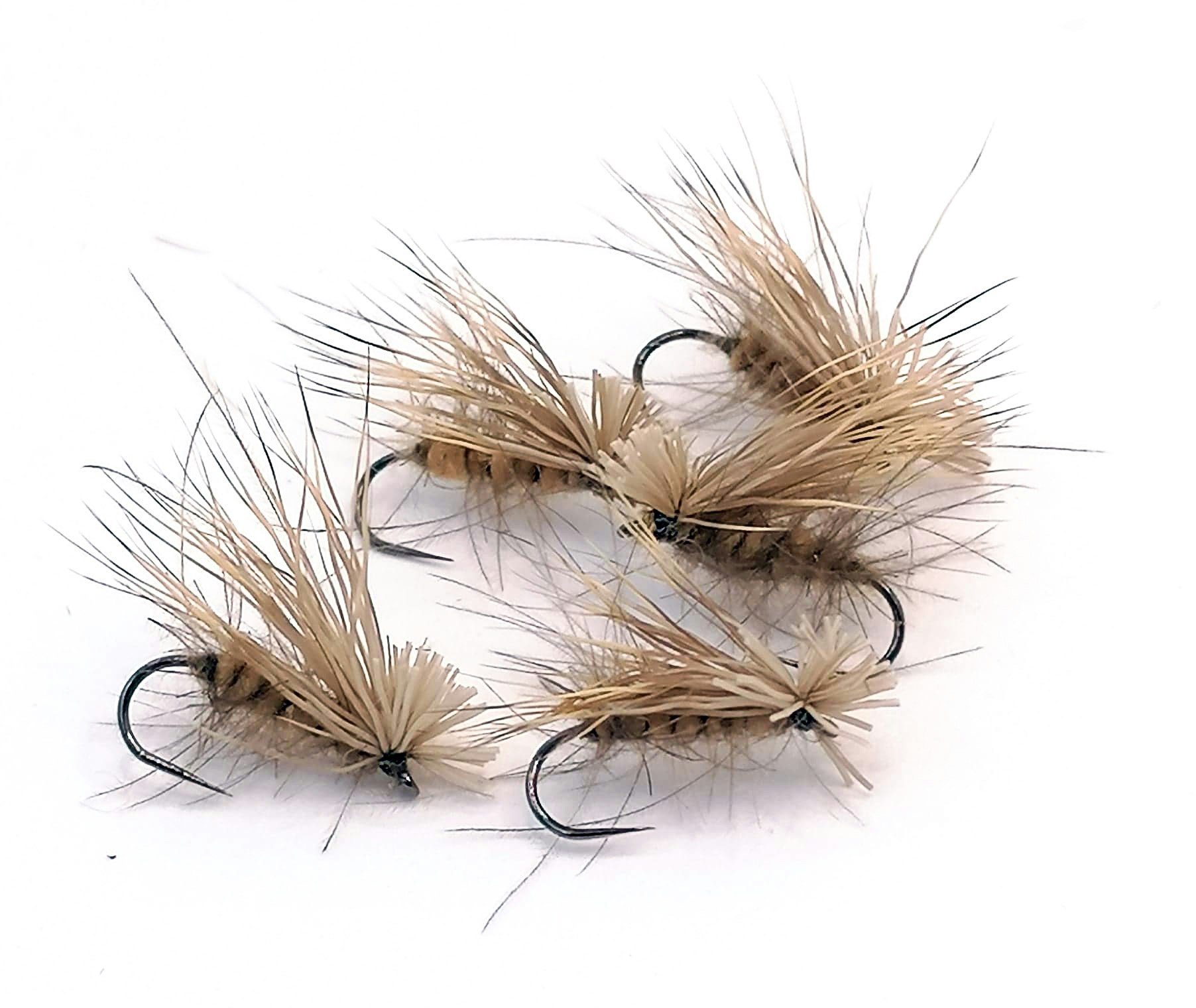 CdC & Elk Tan #14