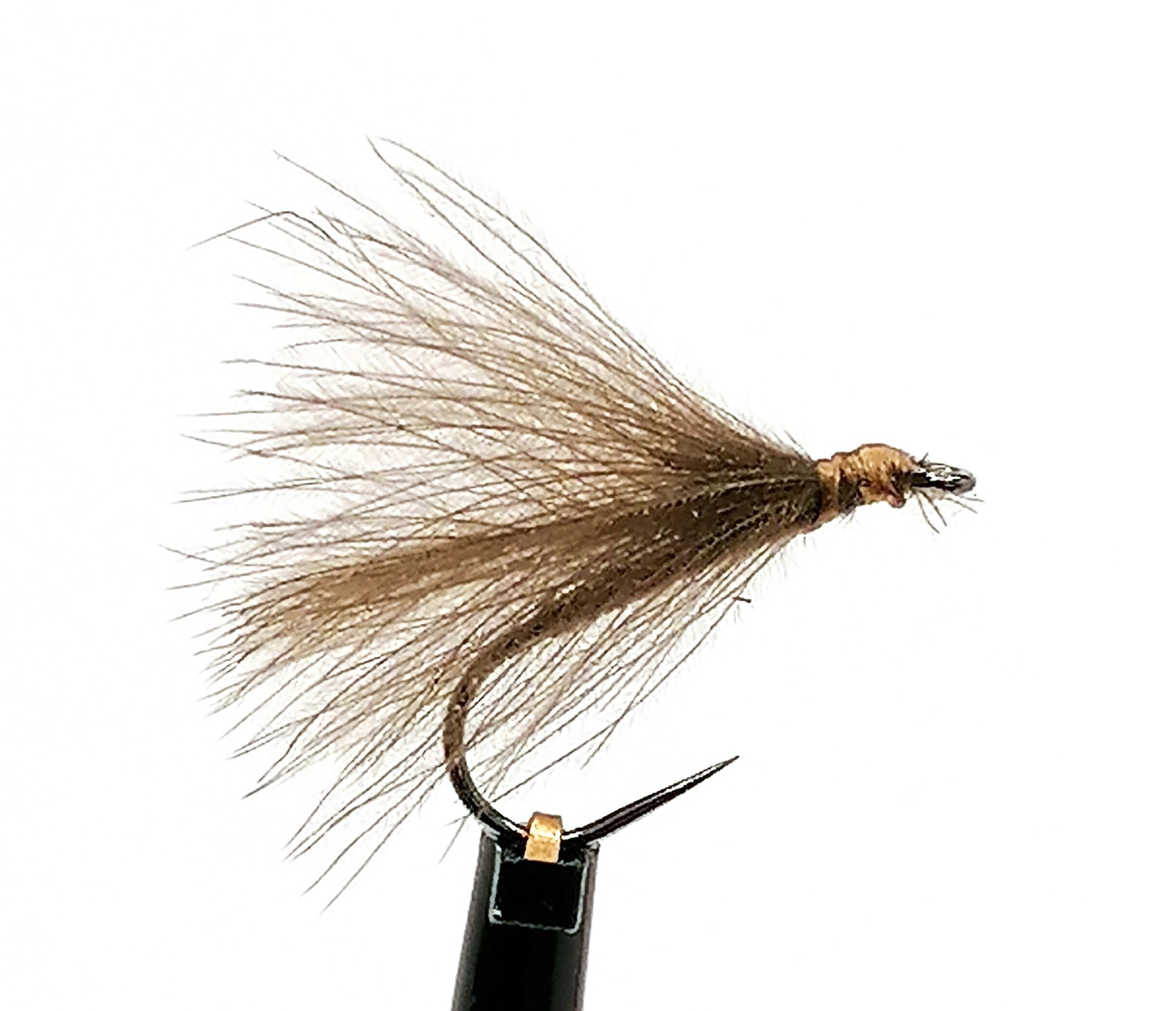 F-Fly