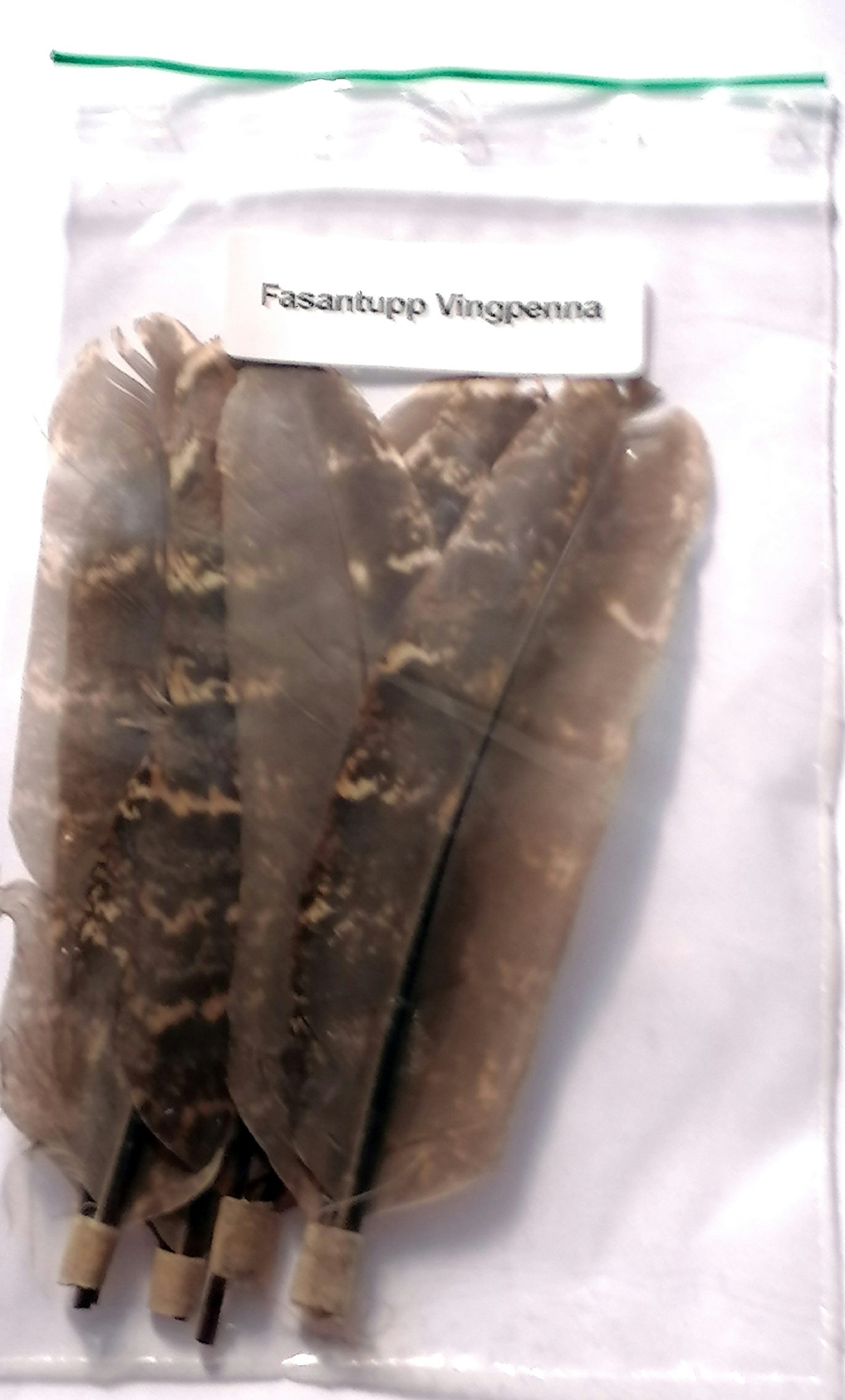 Fasantupp vingpennor.